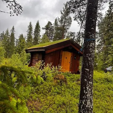 Idyllisk Sted A Pa * Oyfjell