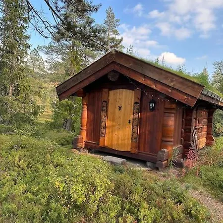 Idyllisk Sted A Pa *