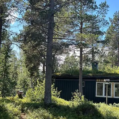 Idyllisk Sted A Pa *