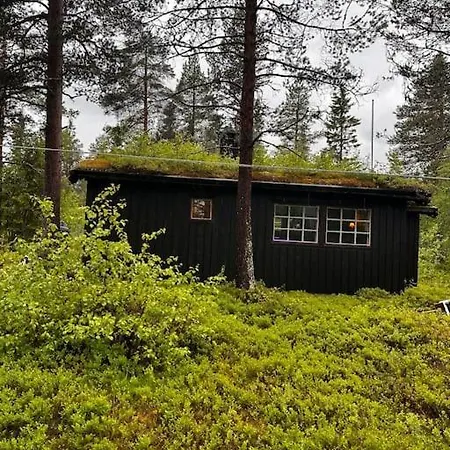Idyllisk Sted A Pa
