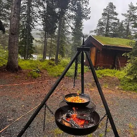 Idyllisk Sted A Pa