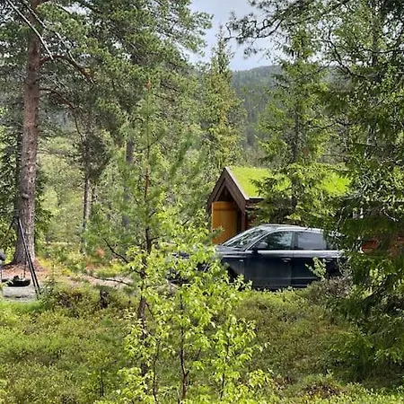 Idyllisk Sted A Pa Semesterbostad Oyfjell