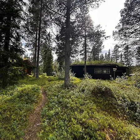 Idyllisk Sted A Pa *
